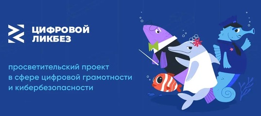 Специалисты VK и других ведущих цифровых компаний разработали для уральцев бесплатную программу цифрового ликбеза