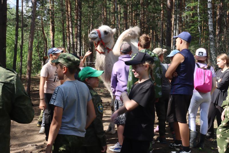 Мы  одной крови