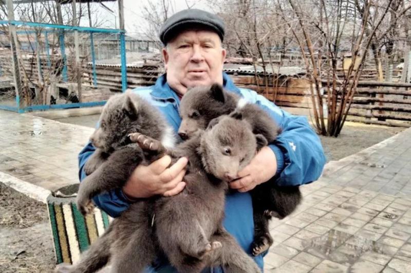 "Украинская власть недолюбливала зоопарк". Как выжили и выживают обитатели разрушенного Мариупольского зоопарка