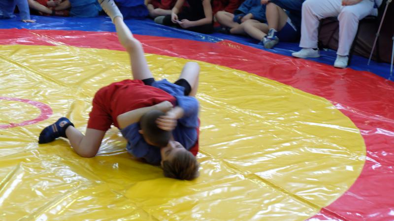 Бороться и побеждать умело!