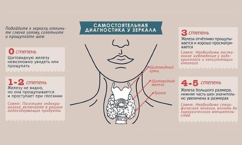 Неделя профилактики заболеваний эндокринной системы