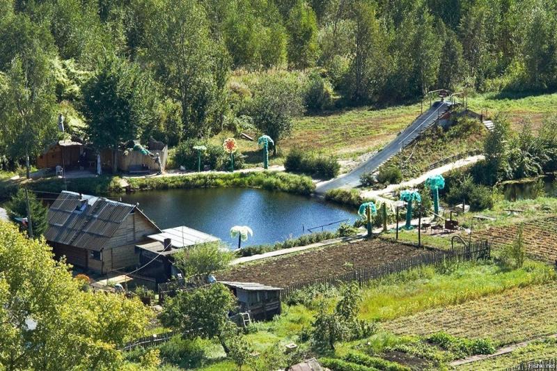 Правительство поддержало "амнистию" дачных построек