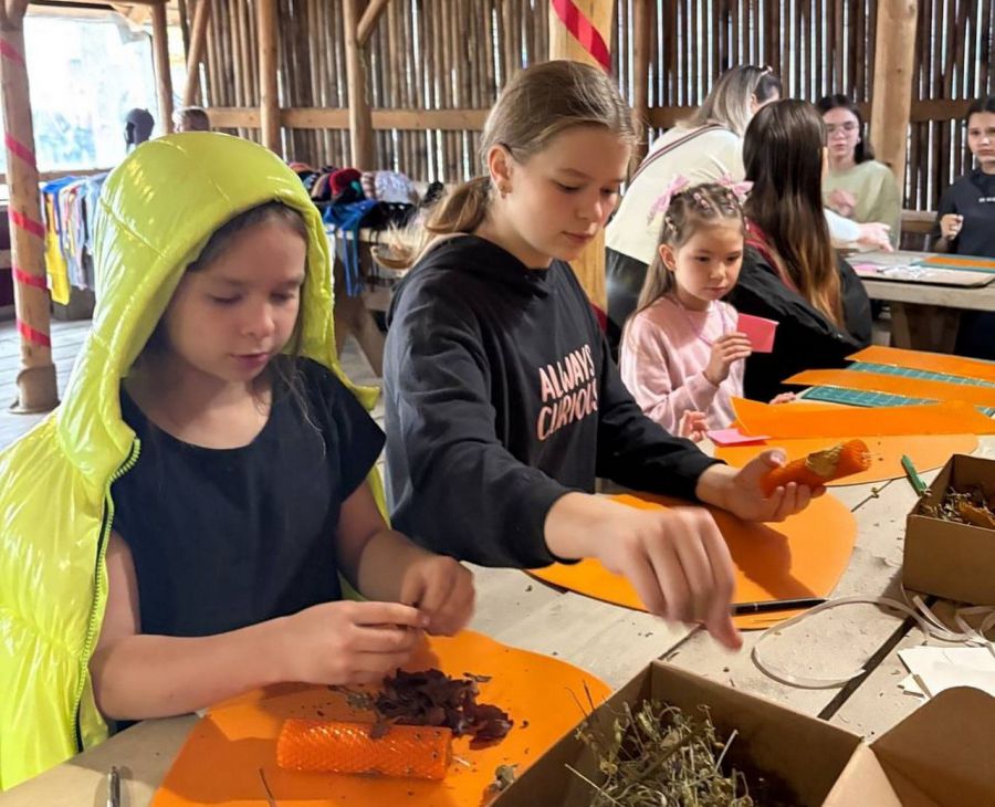 38 некоммерческих организаций Свердловской области получат гранты на реализацию социально значимых проектов